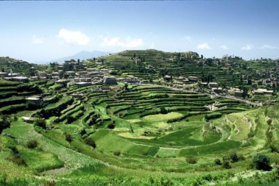 yemen_ibb