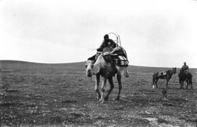 Gertrude Bell photo archives: woman riding a camel at Shammar camp near al-Hadr, horses behind