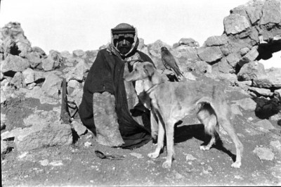 Gertrude Bell archives: Sheikh Sukheil of the Zagarit (sub-tribe of the Shammar) with hawk and greyhound