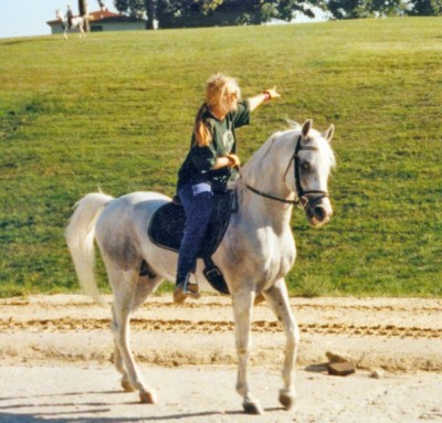 Javera Thadrian, an asil Kuhaylan al-Hay stallion born in 1982