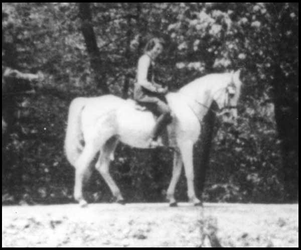 Kokhle, a Ma'naghiyah Sbayliyah daughter of two desert bred imports to the USA