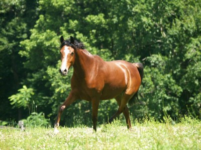 1045124_10200988659511549_786950100_n