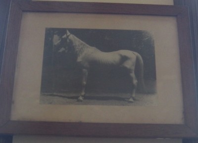 ???????????????????????????????