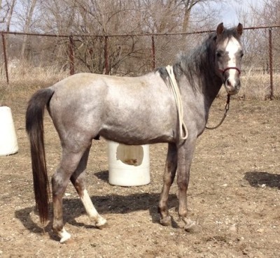 Wadd and Nancy March 22, 2014