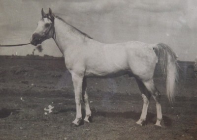 ???????????????????????????????