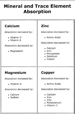 Mineral and Trace Element Absorption