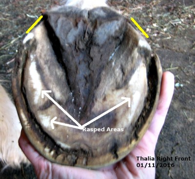 PTRFS20160111Annotated